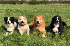 foursome