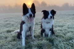 frost