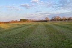 cut-field-edited