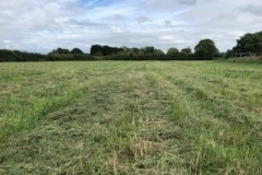 field-cut-3