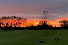 sunset-2