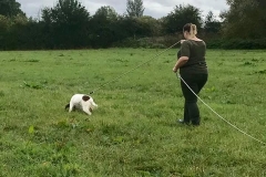 tracking