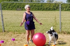 treiball-1